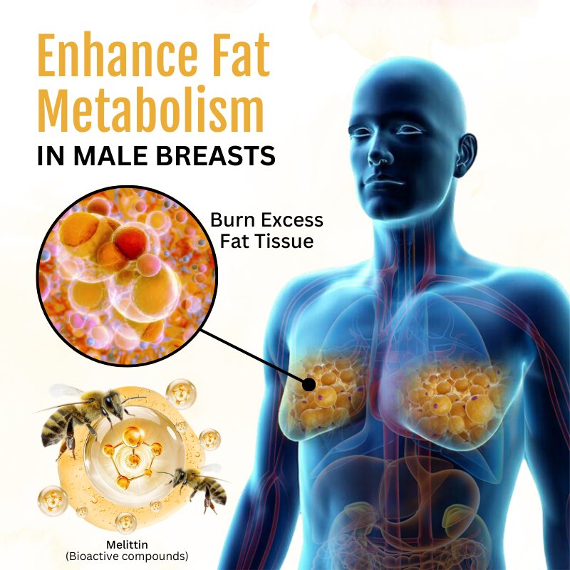 Melax™ ThermoFirm Bee Venom Gynecomastia Oil